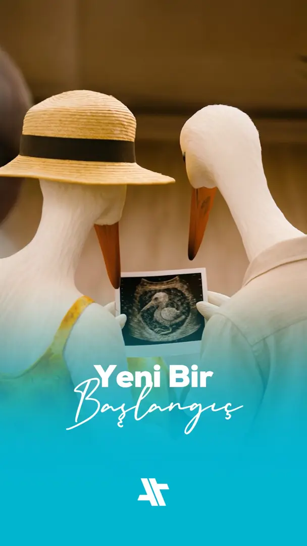 Yeni bir başlangıç...
